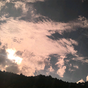 jizzjiz熟丰满老妇日本
