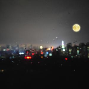 jizzjiz熟丰满老妇日本
