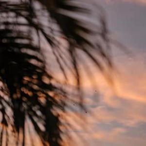 jizzjiz熟丰满老妇日本
